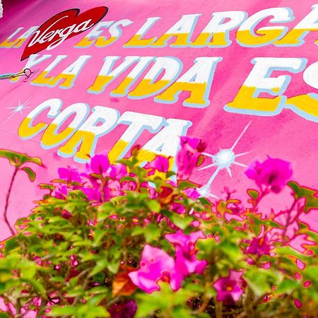 Habitacionez Hvuz Oaxaca Extérieur photo