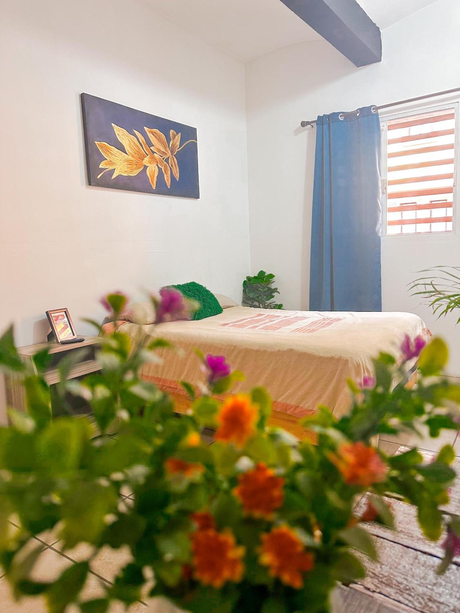 Habitacionez Hvuz Oaxaca Extérieur photo